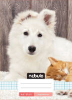 Nebulo 32 lapos A5 négyzetrácsos füzet - Többajta