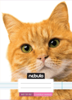 Nebuló Cuki minták 32 lapos A5 vonalas füzet - Többfajta