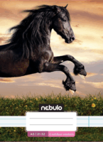 Nebulo Cuki minták II. 32 lapos A5 4. osztályos vonalas füzet - Mintás