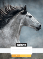 Nebulo Cuki minták A5 32 lapos tűzött sima füzet - Mintás