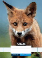 Nebulo Vagány minták 32 lapos A5 vonalas füzet - Mintás