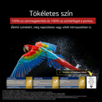 LG 48" OLED48G53LS 16:9 4K UHD OLED Smart TV