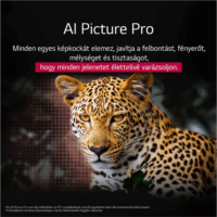 LG 48" OLED48G53LS 16:9 4K UHD OLED Smart TV