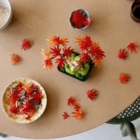 LEGO ® The Botanical Collection: 10348 - Vöröslevelű japán juhar bonsai