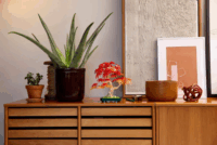 LEGO ® The Botanical Collection: 10348 - Vöröslevelű japán juhar bonsai