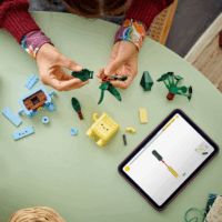 LEGO ® The Botanical Collection: 10349 - Mosolygós növények