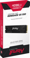 Kingston 4TB Fury Renegade NVMe PCIe 5.0 M.2 SSD
