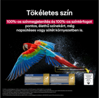 LG 55" OLED55C51LA 16:9 4K UHD AI Smart Gamer OLED evo TV