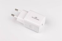 Bluestork PW-20-C USB-C Hálózati Töltő Adapter 20W - Fehér