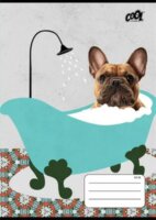 Victoria Bath 2. osztályos A5 vonalas füzet - Többféle