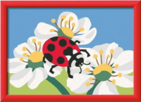Ravensburger CreArt Kifestő készlet - Katicabogár