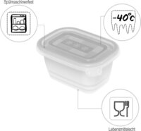 Rotho Freeze Fagyasztható ételtároló készlet 0.25L (6 db)