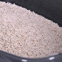 Diamentiq Baya macska alomdoboz - Szürke