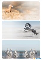 Herma Vágtató lovak Füzetcímke (6 db / csomag) - Mintás