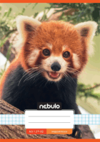 Nebulo Cuki minták II 32 lapos A5 27-32 tűzött négyzetrácsos füzet - Többféle