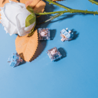 Gateron Melodic Switch - Clicky Mechanikus switch szett (10 db / csomag)