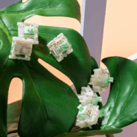 Gateron Baby Kangaroo V2.0 Tactile Switch - Prémium mechanikus kapcsoló szett (35db / csomag)