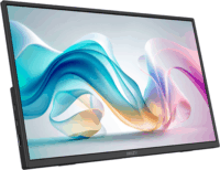 MSI 15,6" PRO MP165 E6 16:9 FullHD IPS Monitor 60Hz - Fekete