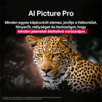 LG 83" OLED83C51LA 16:9 4K UHD AI Smart Gamer OLED evo TV