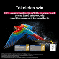 LG 83" OLED83C51LA 16:9 4K UHD AI Smart Gamer OLED evo TV