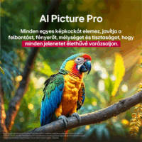 LG 43" 43QNED84A3C 16:9 4K UHD AI Smart QNED TV