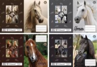 T-Creativ 40 mikron Ló mintás betétes A5 füzetborító - Többféle