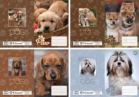 T-Creativ 40 mikron Kutya mintás betétes A5 füzetborító - Többféle