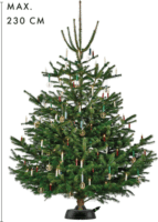 Krinner Comfort Grip+ S Green Line víztartályos Karácsonyfa talp 2,3 m / 11 cm / 3 L