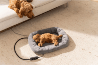 Beurer PP 250 Kira Fűthető Kisállat Fekhely 58x50cm