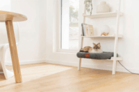 Beurer PP 250 Kira Fűthető Kisállat Fekhely 58x50cm