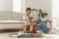 Beurer PP 250 Kira Fűthető Kisállat Fekhely 58x50cm