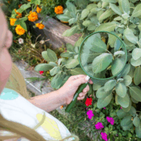 Carson HU-20 Lupe 5x 2cm-es nagyító