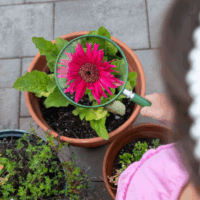 Carson HU-20 Lupe 5x 2cm-es nagyító