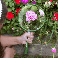 Carson HU-20 Lupe 5x 2cm-es nagyító