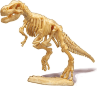 BUKI Dinó csontváz felfedező készlet - T-Rex