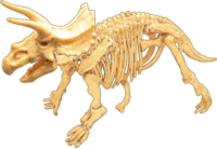 BUKI Dinó csontváz felfedező készlet - Triceratops