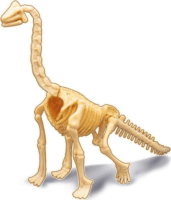 BUKI Dinó csontváz felfedező készlet - Brachiosau
