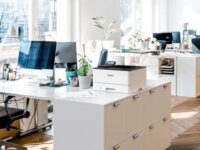 Canon i-SENSYS LBP 243 dw II Mono Lézernyomtató (Wifi / LAN / USB)