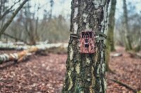 Braun 57645 8K WiFi Vadkamera - Terepszínű / Fekete