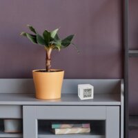 TFA TFAme ID-01 WLAN Gateway kezdőkészlet 3 hőmérséklet távadóval - Fehér