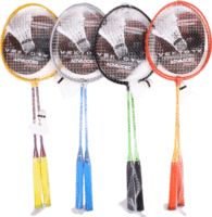 Vektory Advanced Tollasütő Szett Labdával