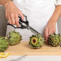 OTOTO Elizibat Konyhai Olló - Fekete