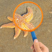 DieMaus 2,5 / 4cm-es nagyító gyerekeknek