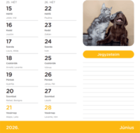 Nebulo 2026 Kutya-Cica Kétheti Naptár 22 x 22 cm