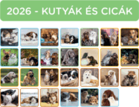 Nebulo 2026 Kutya-Cica Kétheti Naptár 22 x 22 cm