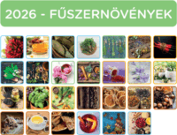 Nebulo 2026 Fűszernövény Hétheti Naptár 22 x 22 cm