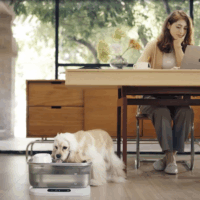 Astropet Poseidon Pro Automata Kisállat Itató 7L - Ezüst / Fehér