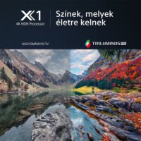 Sony 85" KD85X80LAEP 16:9 4K UltraHD LED Smart TV