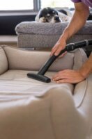 Kärcher WD Kárpitfej kisállatszőrhöz