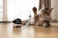 Enabot ROLA Mini Pet Companion Smart Kisállat Figyelő Kamera